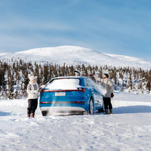 Tele-is sne børste og isskraber med justerbar alu. skafte - længde 77-105cm lang